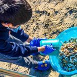 Read more about the article Over 2,200 beach clean-up volunteers can collect 400,000 cigarette butts in Dubai over 1,100 hours