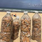Read more about the article Cigarette butts among the most littered in Dubai streets, beaches