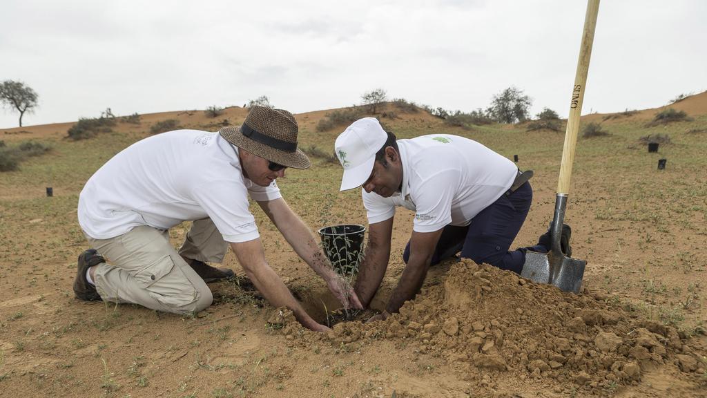 You are currently viewing 250 Ghaf trees planted with Marriott Group to mark International Day of Forests