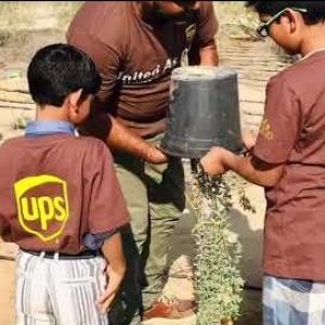 UPS planting Ghaf trees
