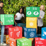Read more about the article The SDG Framework: Transformation Pathways to Success