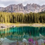 Read more about the article Europe’s green recovery plan based on Nature