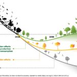 Read more about the article Biodiversity: Ambitious Conservation And Restoration Efforts Required