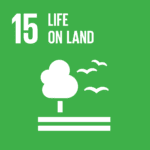 Read more about the article SDG 15: Respect And Protect Nature With Sustainable Land Use
