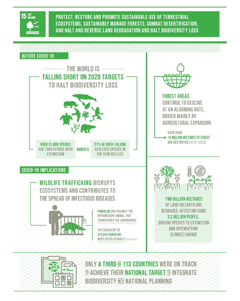 SDG 15: Respect And Protect Nature With Sustainable Land Use