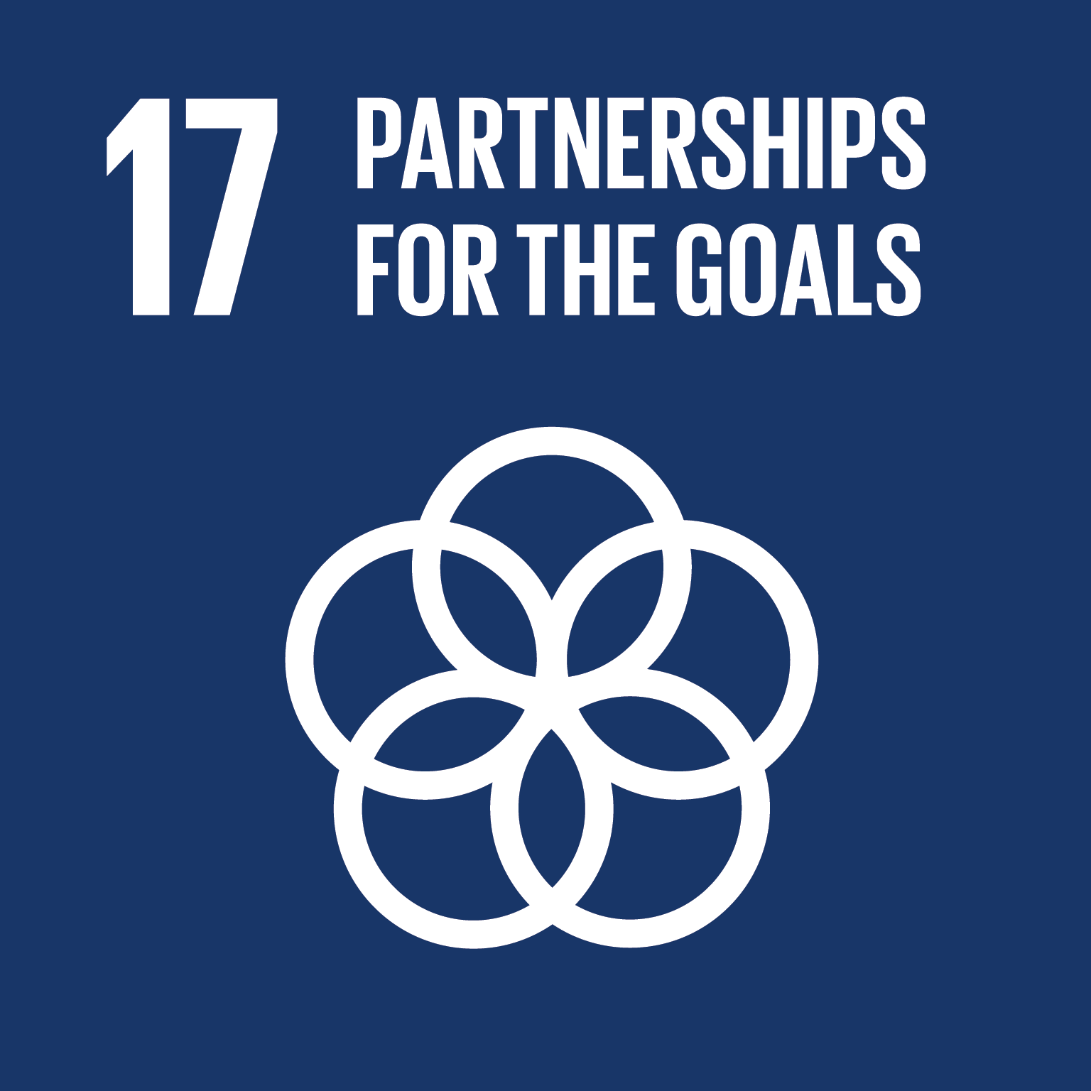 You are currently viewing SDG 17: Strengthening Sustainable Development Goals and Partnerships