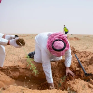 King Abdulaziz Royal Reserve Kicks Off First Afforestation Campaign