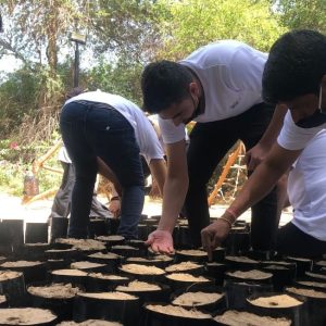 715 Trees Were Planted On Dubai Chamber’s Annual Give And Gain Program