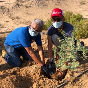 ICAI UAE Dubai Chapter celebrates their 39th year of excellence by planting Ghaf trees
