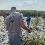 Mangrove planting with Hansgrohe Middle East