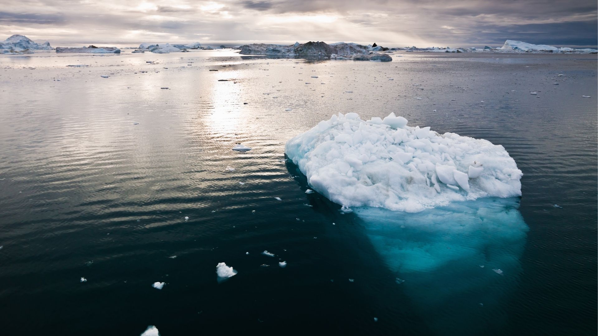 You are currently viewing Study reveals nano-plastic particles dating as far back as 50 years found in polar regions
