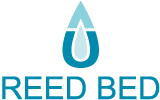 Reed Beed